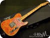 Fender Telecaster 1969 Paisley