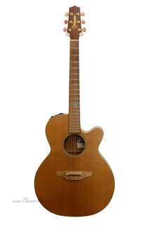 takamine eg269c