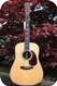 Martin D-45 Rosewood-Spruce, OHC, King Of Flattops 2013