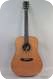 BSG D-10-F Dreadnought Mahogany & Cedar 2013