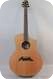 Breedlove Cascade C25/CRe Western Red Cedar-Rosewood, LR Baggs Pickup 2013