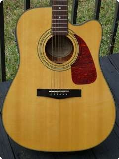 fender dg20ce nat price