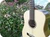 Loef Guitars MICHL BARITONE