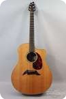 Breedlove D 25 SRH Pro USA Indian Rosewood Sitka Spruce