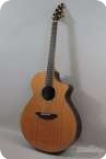 Breedlove Ed Gerhard Signature Limited Indian Rosewood Sitka Spruce