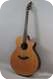 Breedlove Ed Gerhard Signature Limited Indian Rosewood Sitka Spruce