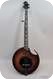 Nechville Meteor 5 String Electric Banjo  2014