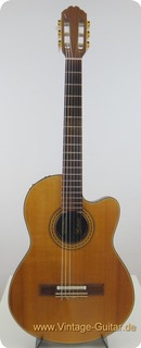 Gibson Chet Atkins Ce 1982 Natural