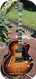 Hofner Committee 1970-Sunburst