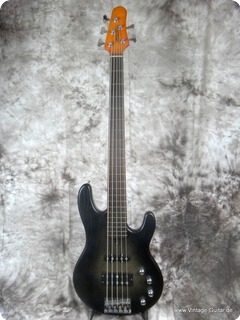 Börjes Bass And Guitar Design Bassinger 5 2013 Blackburst