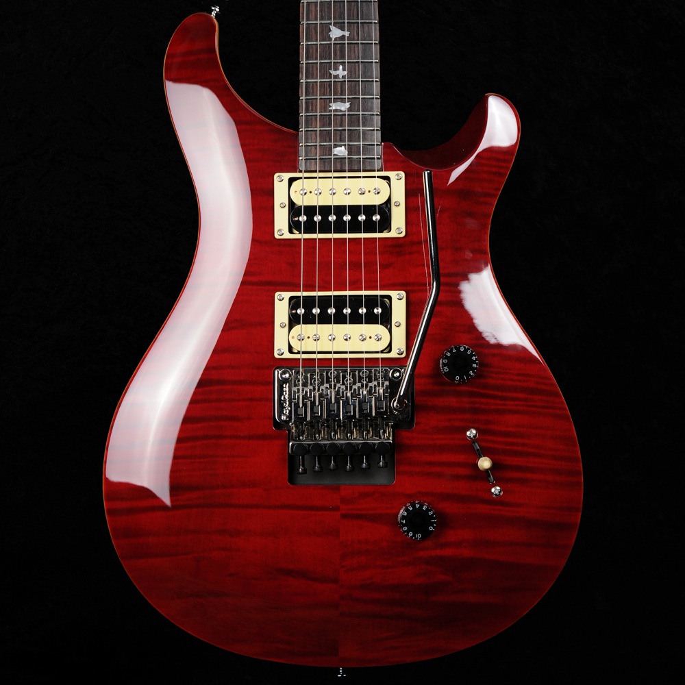 PRS-SE Floyd Custom 24 - Black Cherry-2014