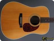 Martin Shenandoah D2832 1986 Natural