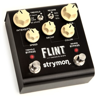 Strymon Flint 2014