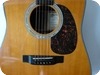 Martin D-16 Beck Hansen ON HOLD 2002-Natural