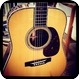 C. F. Martin Martin D 45V Madi Adi Custom Shop 2014 Natural