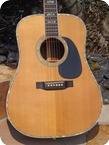 Martin D 41 1973 Natural