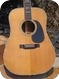 Martin D 41 1973 Natural