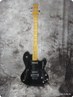 Hayman 2020 Thinline 1973 Black