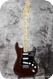 Fender Stratocaster 1976 Mocha