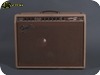 Fender Vibrasonic Brownface 1960 Brownface