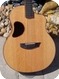 Mc Pherson MG-3.5xP12 ES/BCS 12-String