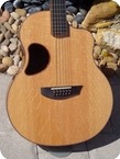 Mc Pherson MG 3.5xP12 ESBCS 12 String