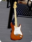Fender Stratocaster 1973 Mocha