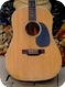 Martin D-12-35 1969-Natural