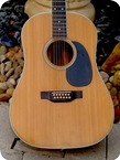 Martin D 12 35 1969 Natural