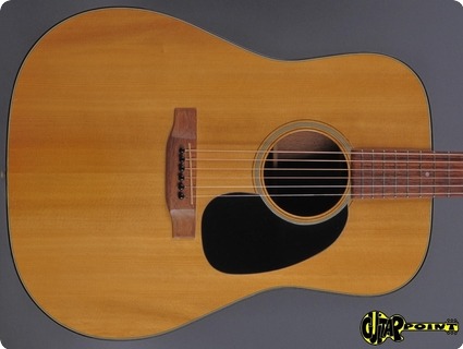 Martin D 18 1975 Natural