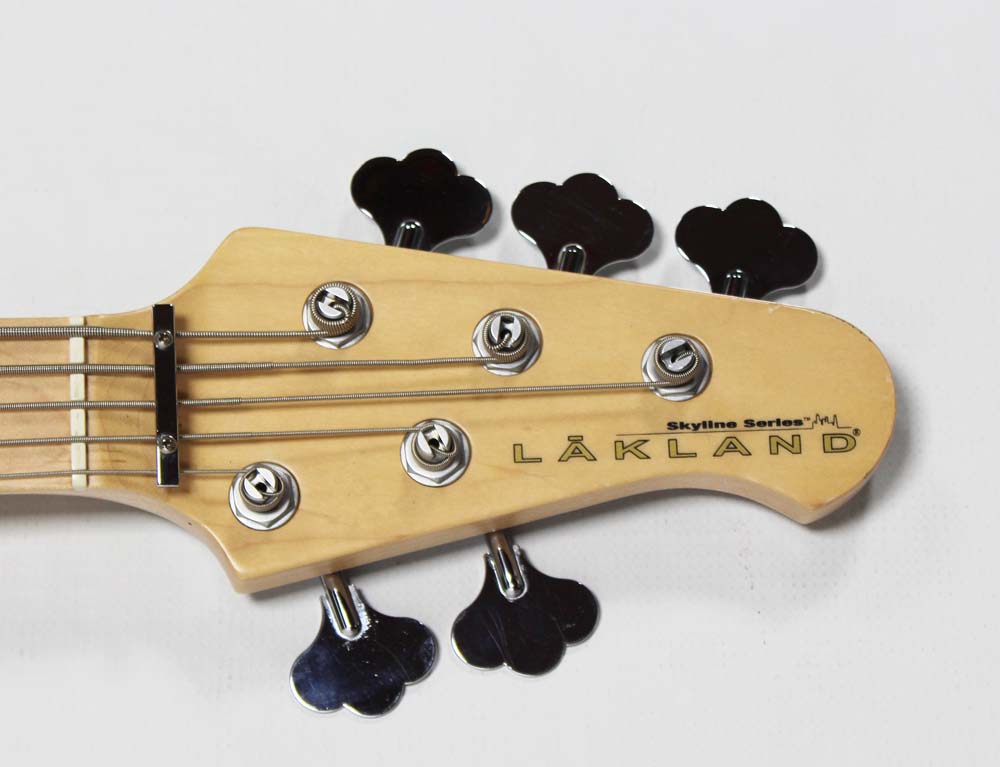 新作入荷 Lakland Skyline Series SK-5DX www.exceltur.org