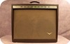 Magnatone 260 1959 Brown Tolex