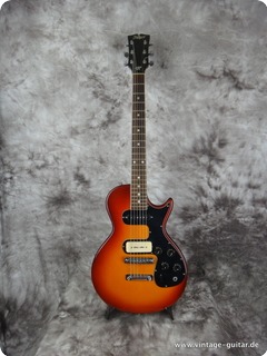 Hoyer Model Sunburst