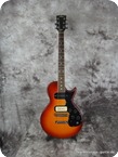 Hoyer Model Sunburst