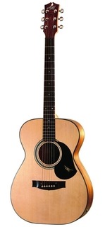 Maton Ebg808 Ap5 Pro 2016