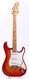 Fender Stratocaster 1982-Sienna Sunburst