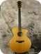 Taylor Leo Kottke Signature 1997-Natural