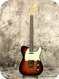 Fender Telecaster Special 2013-Sunburst