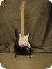 Fender Stratocaster Roland G-5-Black