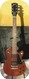 Gibson Les Paul Smart Wood-Brown
