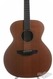 Takamine SEN-20-12 12-string 1993