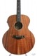 Taylor K-65 Koa 12-string 1998