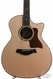 Taylor Acoustic Guitars/Western Guitars 2016