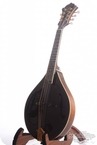 Lebeda B 5 Premium A Mandoline 2005