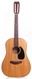 Martin D-12-20 1971-Natural