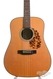 Blueridge BR160A Dreadnought Adirondack EC 2011