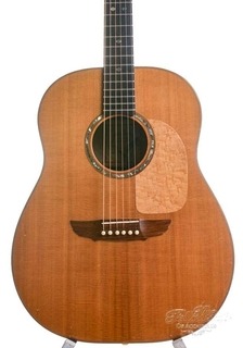 Goodall Standard 21st Dreadnought Brazilian/maple Vintage 1979