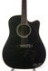 Takamine EF341C Ebony 1991