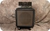 Ampeg B15 NF 1965-Blue Checked Tolex