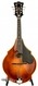 Eastman David Grisman DGM2 Mandolin